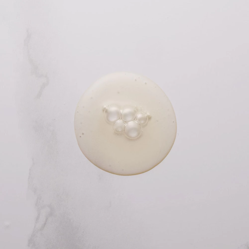 Phytopanama 2 Phytopanama – Image 2