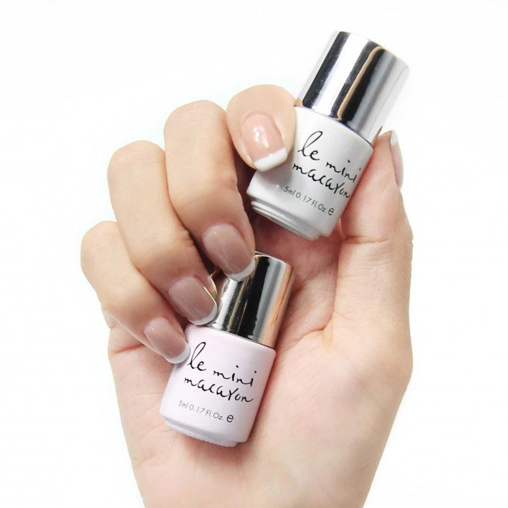 Le Frenchie 2 Le Frenchie – Image 2