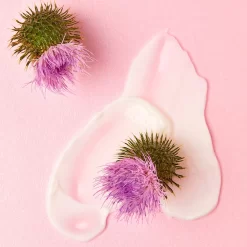 NIVEA NATURALLY GOOD - Crème De Jour Extrait Bardane BIO -Éclat De Beauté 262490 nivea naturally good creme de jour extrait bardane bio soin visage anti age 50ml pot autre5 1000x1000 1