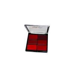 Palette Artist Pro 6 Rouges à Lèvres Warm Red