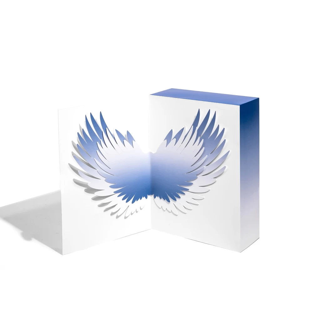 Coffret PURE 10N 4 Coffret PURE 10N – Image 4