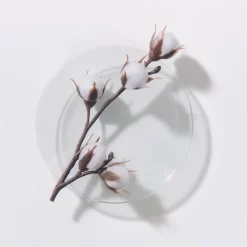 Schwarzkopf Professional BlondMe Shampooing Purifiant 300ml -Éclat De Beauté 302605 schwarzkopf professional blondme shampooing purifiant 300ml shampooing 300ml autre2 1000x1000 1