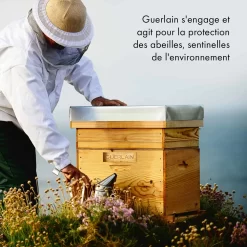 Guerlain Abeille Royale -Éclat De Beauté 316075 guerlain abeille royale honey treatment creme nuit 50ml pot autre9 1000x1000 1